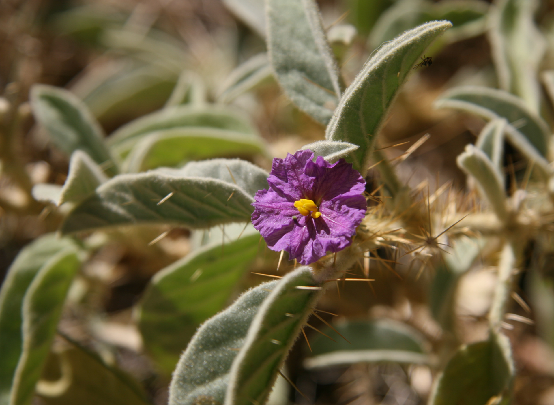 Ian's May 2025 Newsletter
