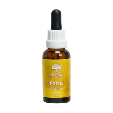 Focus Essenz