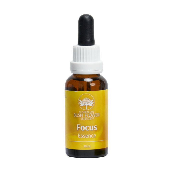 Focus Essenz