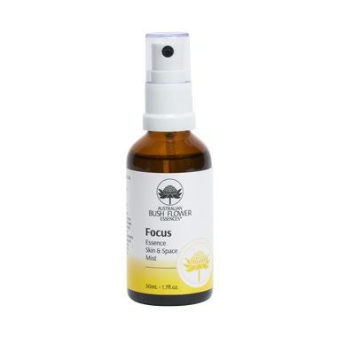 Focus Essenz Raumspray