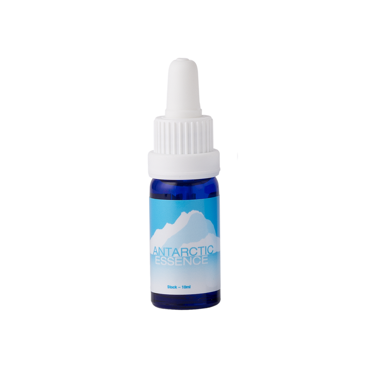 Antarctic Essenz 10 ml