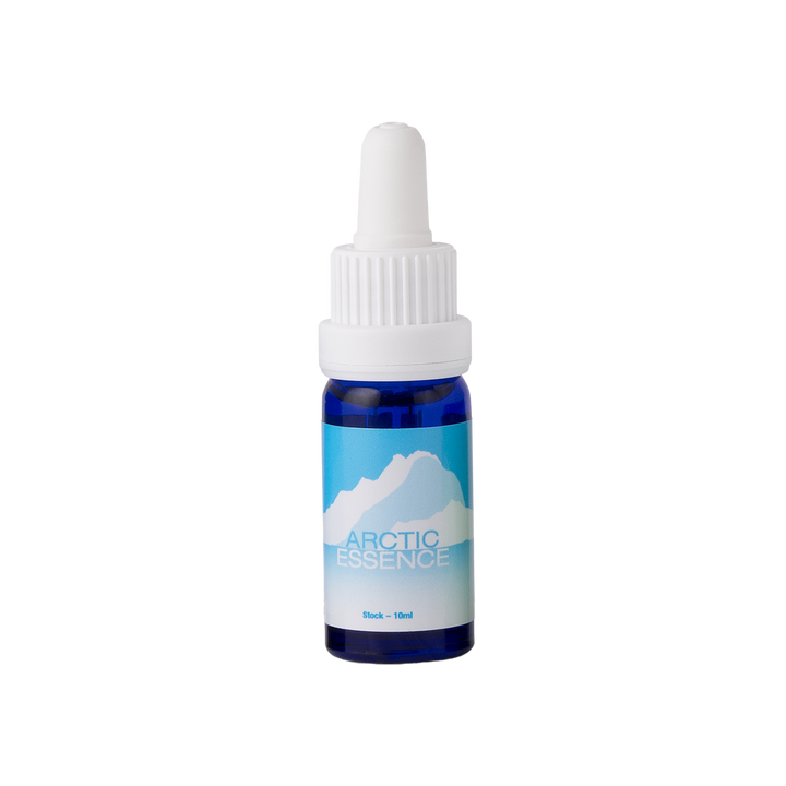 Arctic Essenz 10 ml