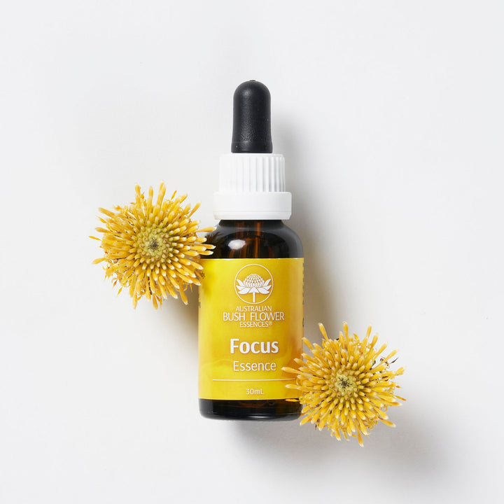 Focus Essenz-Trio