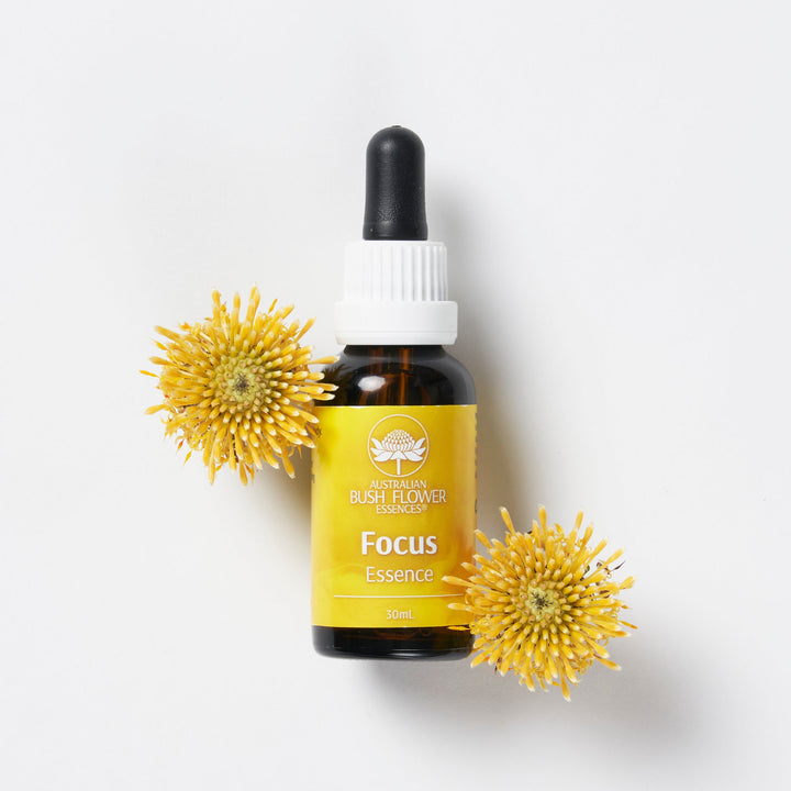 Focus Essenz