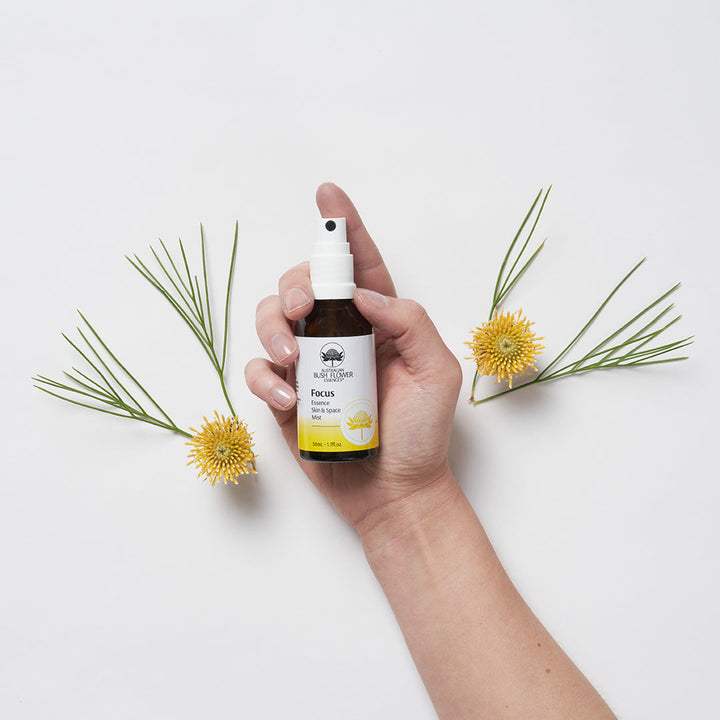Focus Essenz Raumspray