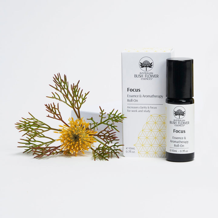 Focus Essenz Roll-On