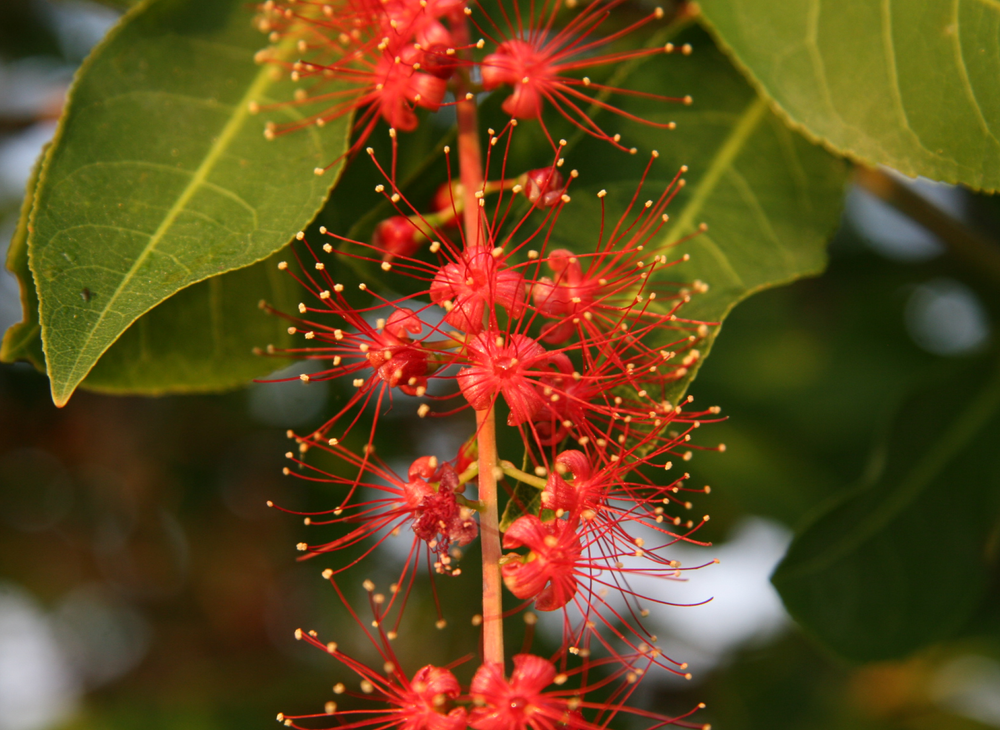 Ians Video-Newsletter für April 2025