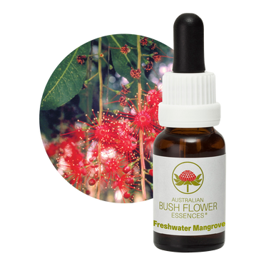Freshwater Mangrove
