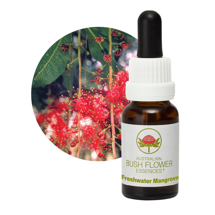 Freshwater Mangrove
