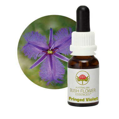 Fringed Violet