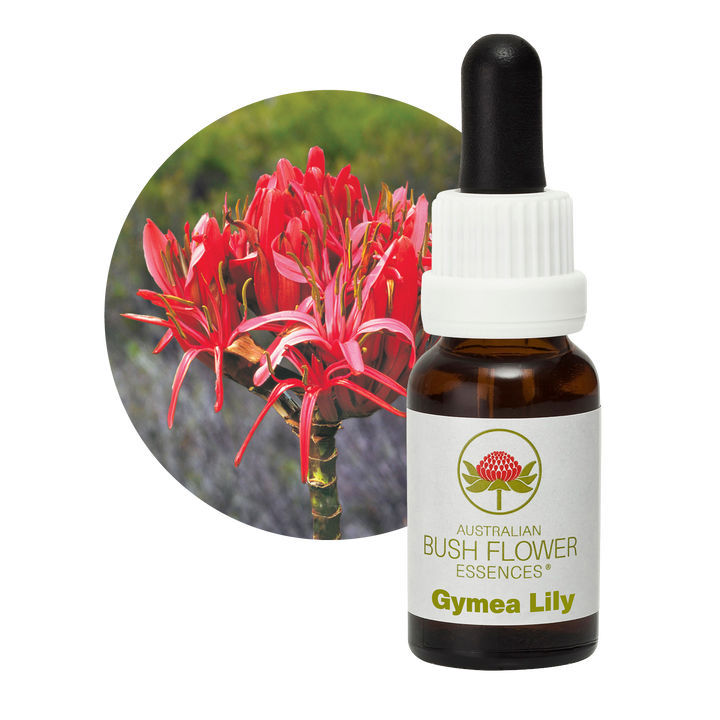 Gymea Lily Essence bottle and flowers. Designed for individuals with intense, extroverted personalities, this remedy addresses arrogance, bringing about humility and strength. Ideal for those seeking to balance their charismatic, demanding nature and reach new heights.