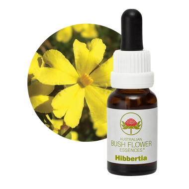 Hibbertia