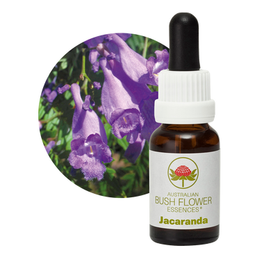 Jacaranda Essence helps individuals who struggle with indecision and constantly change their activities, providing clarity and focus to complete tasks. Unlike Sundew, which is for dreamers, Jacaranda is specifically for those who dither and are always changing their minds.