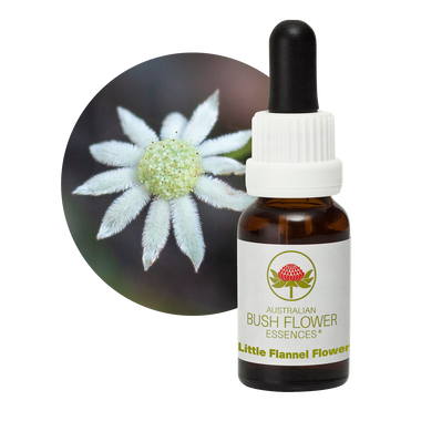 Little Flannel Flower