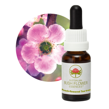 Peach-flowered Tea-tree