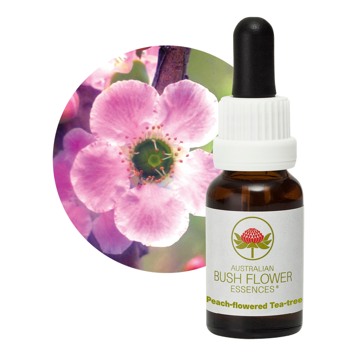 Peach-flowered Tea-tree