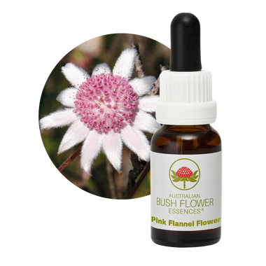 Pink Flannel Flower