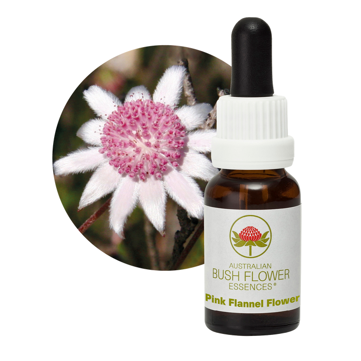 Pink Flannel Flower