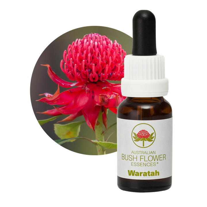 Waratah