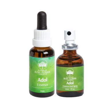 Adol addresses the major issues teenagers commonly experience. It enhances acceptance of self, communication, social skills, harmony in relationships, maturity, emotional stability, and optimism.