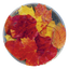 Autumn Leaves