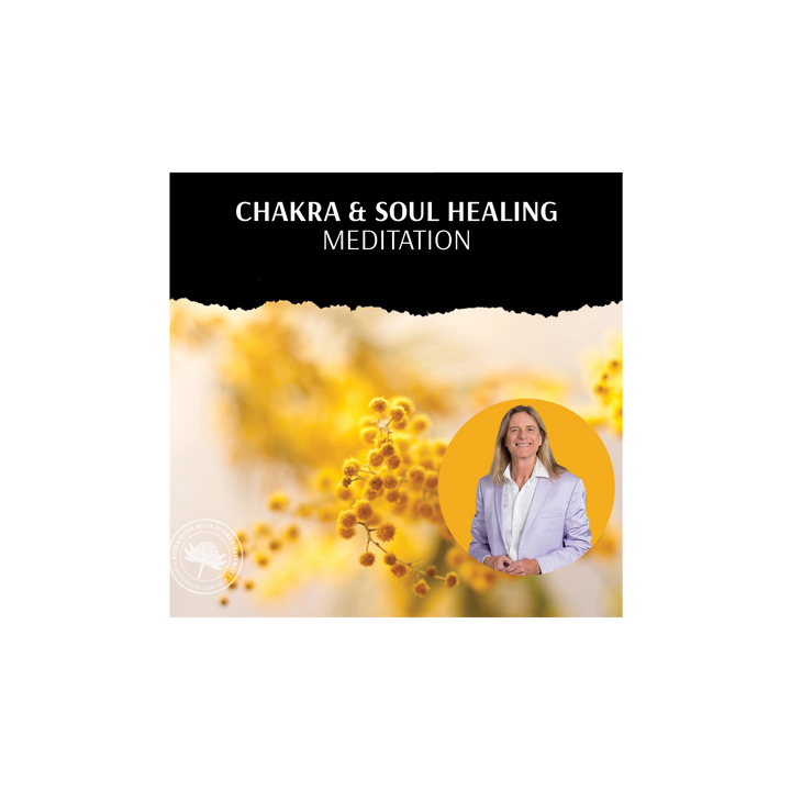Chakra- und Seelenheilungsmeditation