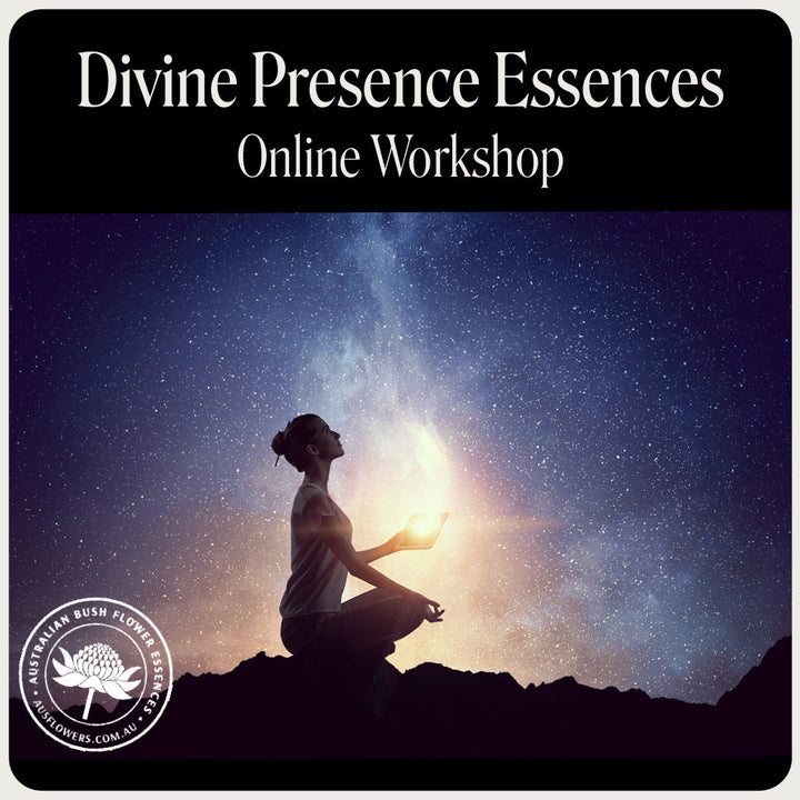 Online-Workshop zu Essenzen der Göttlichen Präsenz