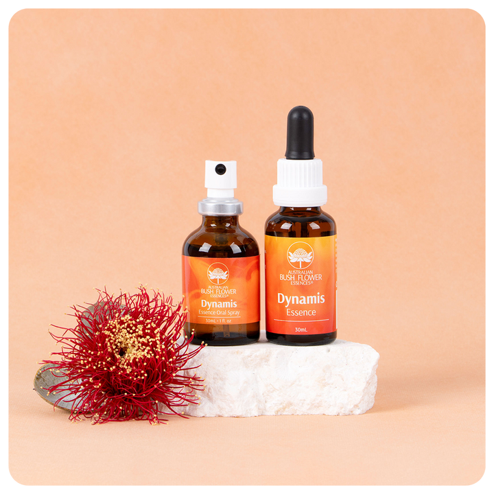 Dynamis Essenz-Set