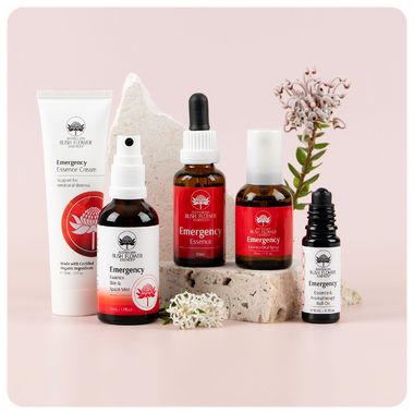 Emergency Essenz-Kollektion – Geschenkset