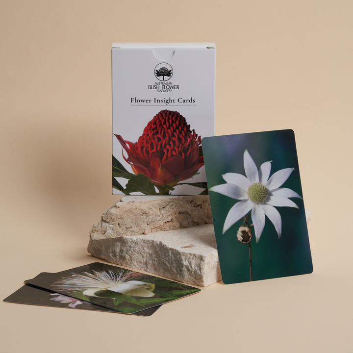 Flower Insight Cards [EN]