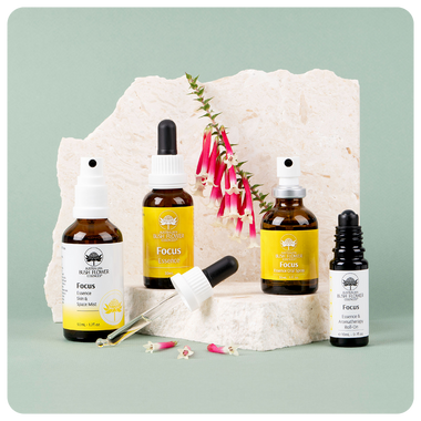 Focus Essenz-Kollektion – Geschenkset