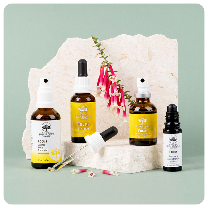 Focus Essenz-Kollektion – Geschenkset