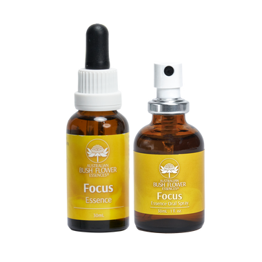 Gives clarity and focus when working, speaking, reading or studying. It balances the intuitive and cognitive processes and helps integrate ideas and information. Excellent for study or pursuits that require intense focus. It assists problem-solving by improving access to the Higher Self, which stores all past knowledge and experiences.