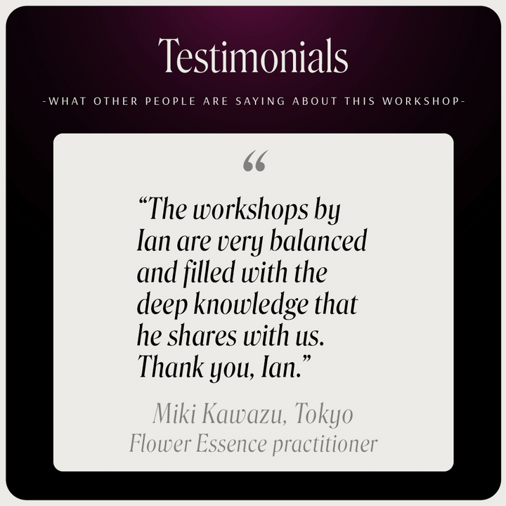 Online-Workshop „Anmutiges Altern“
