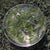 Green Essence