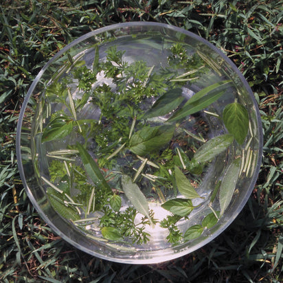 Green Essence