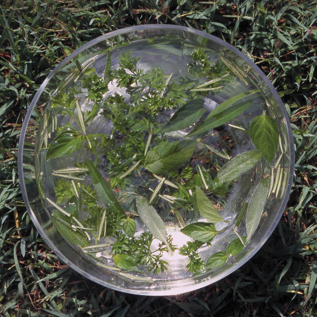 Green Essence