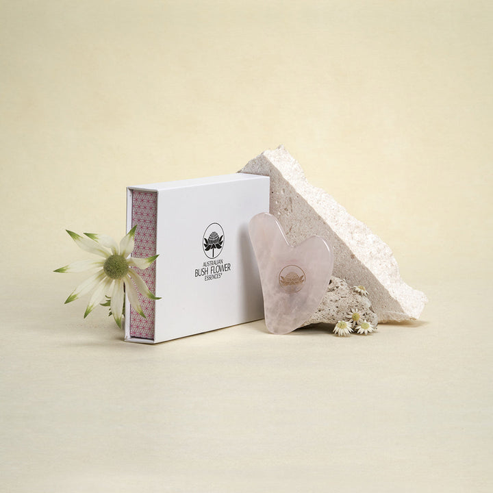 Komplettes Hautpflege-Set