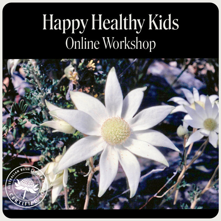 Online-Workshop für glückliche und gesunde Kinder