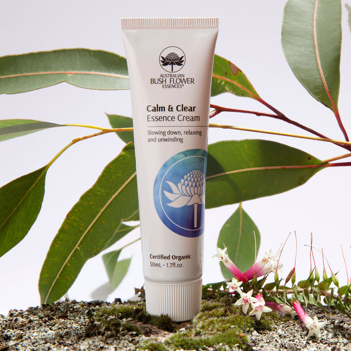 Calm & Clear Essenz Creme