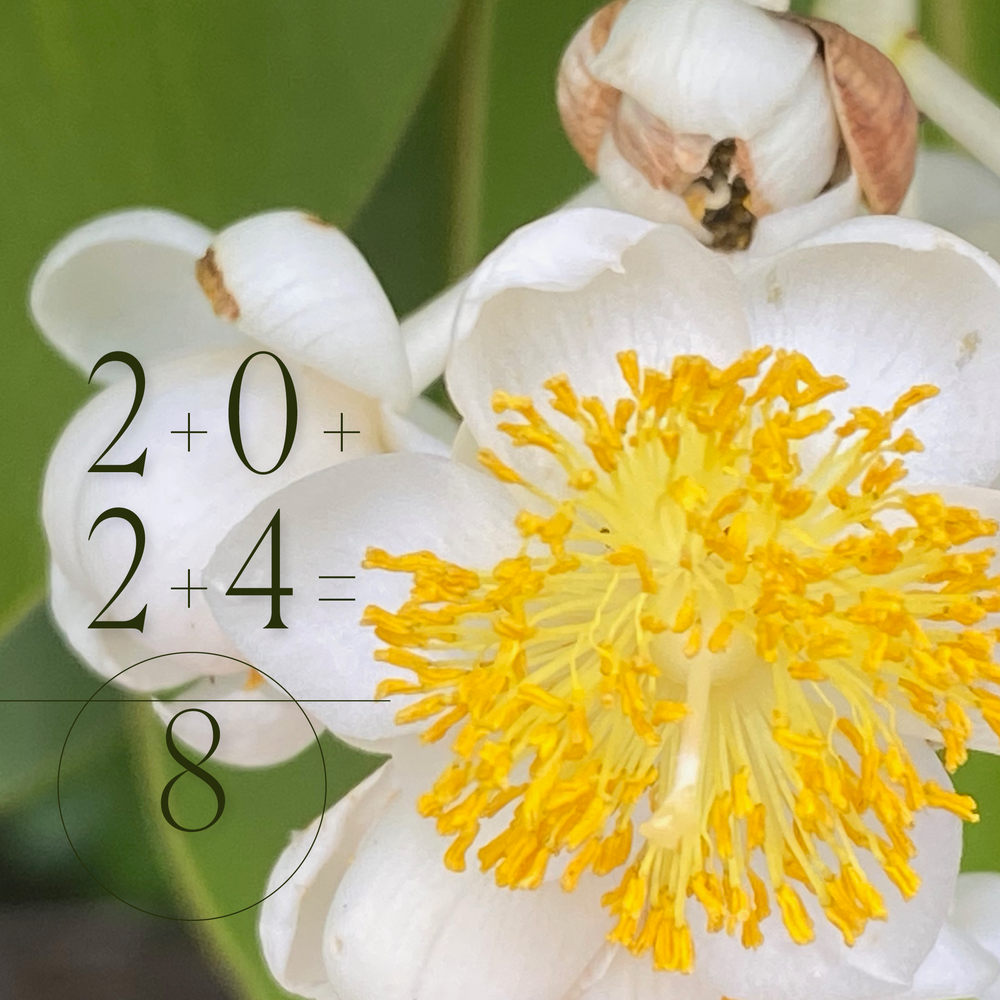 Ians Newsletter vom Februar 2024