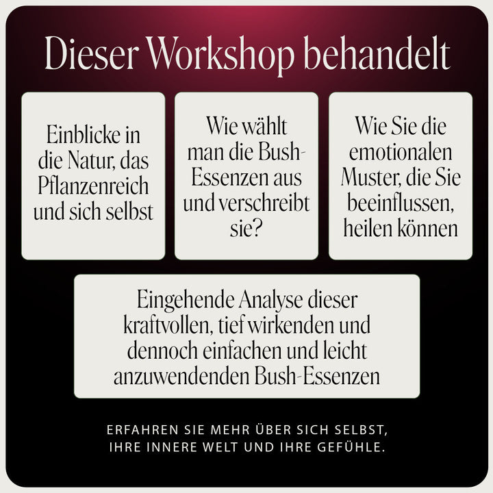 Level 1 Deutsch