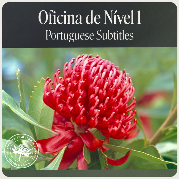 Nível 1 - Português