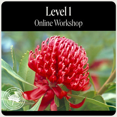 Online-Workshop Stufe 1