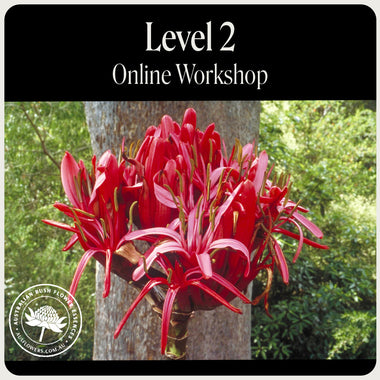 Online-Workshop Stufe 2