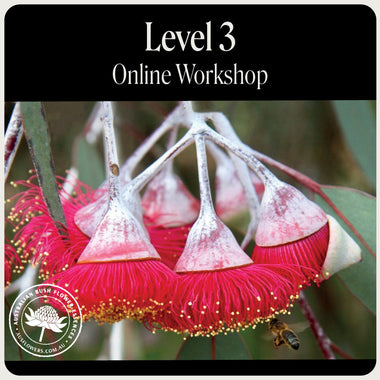 Online-Workshop Stufe 3