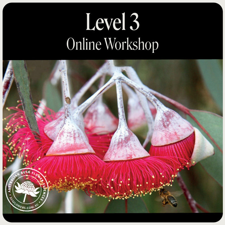 Online-Workshop Stufe 3