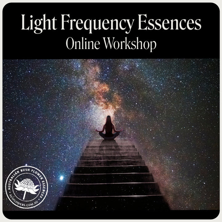 Online-Workshop zu Lichtfrequenzessenzen