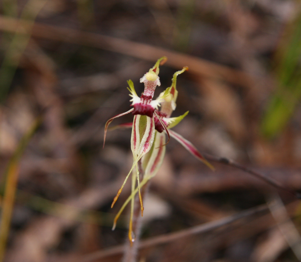 Ians Video-Newsletter vom Mai 2025