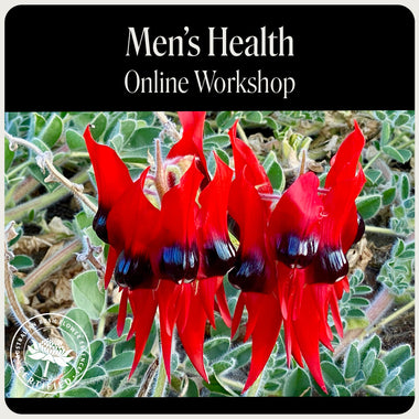 Online-Workshop zur Männergesundheit
